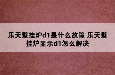 乐天壁挂炉d1是什么故障 乐天壁挂炉显示d1怎么解决